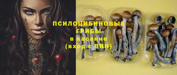 гашик Балабаново