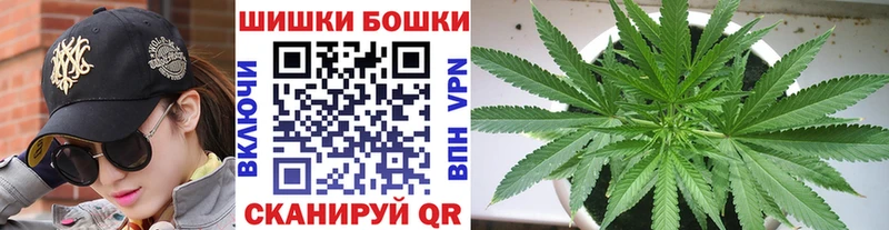 Бошки Шишки семена  Щёлкино 